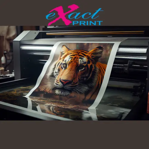 Canvas vs Photo Poster vs Foam Board: Which Wall Display Is Right for You?