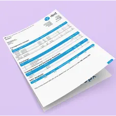 Document Printing 