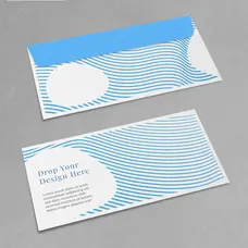 DL Envelope
